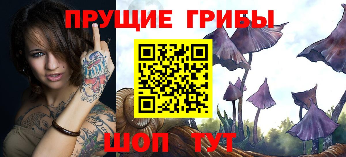 Псилоцибиновые грибы Psilocybine cubensis Тольятти